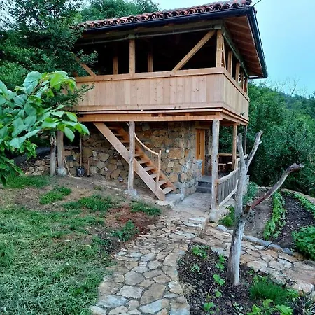 Magarija 2 Dimitrovgrad